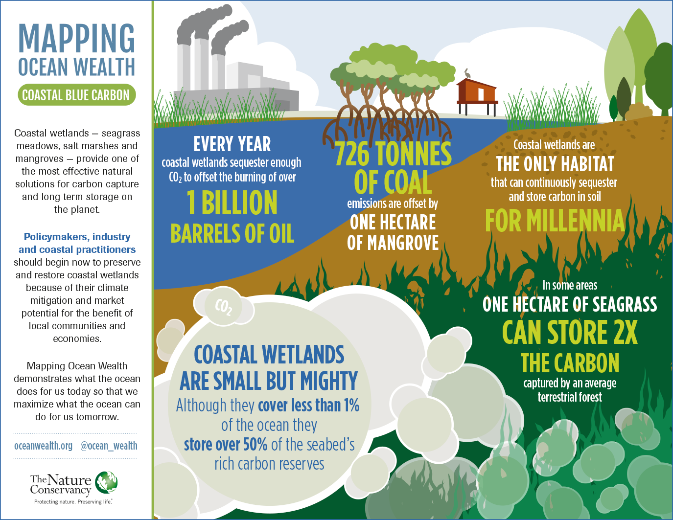 Carbon Storage Sequestration Mapping Ocean Wealth