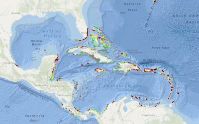 Coral Reef Tourism: Data Highlights Conservation Opportunity for Industry