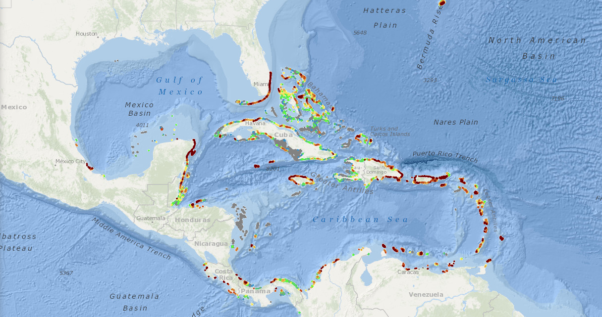 Coral Reef Tourism: Data Highlights Conservation Opportunity for Industry