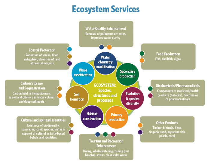 Ecosystem Services Mapping Ocean Wealth