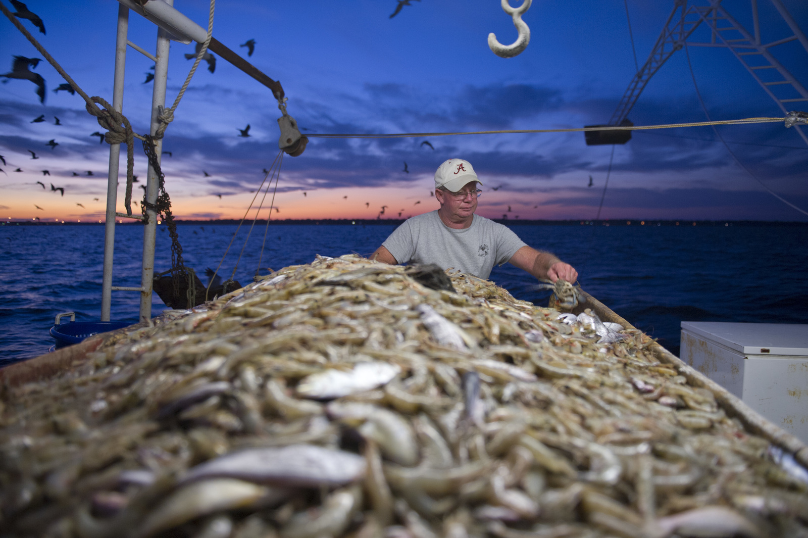 Промыслы в океане. Рыболовство. Рыболовство в мексиканском заливе. Рациональное рыболовство. Хозяйство Греции рыболовство.