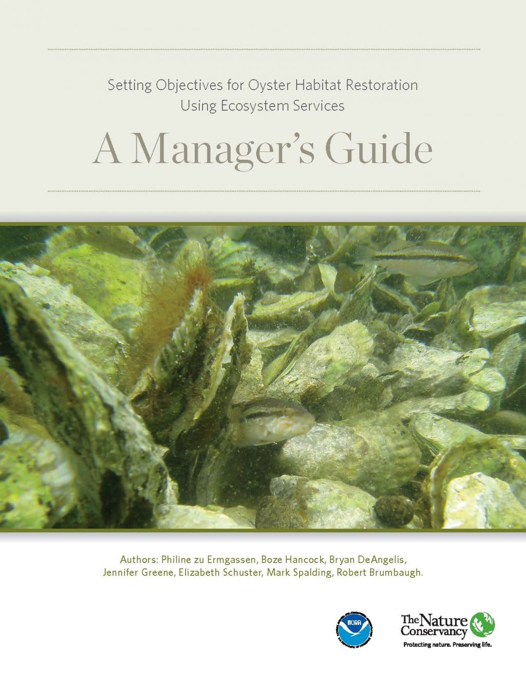 Oyster Calculator Mapping Ocean Wealth