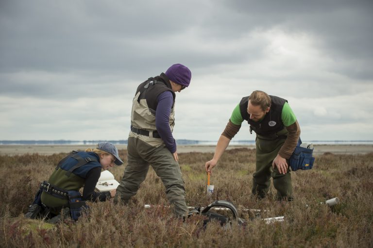 Notes from the Field: MOW Australia Measures Blue Carbon in Australia