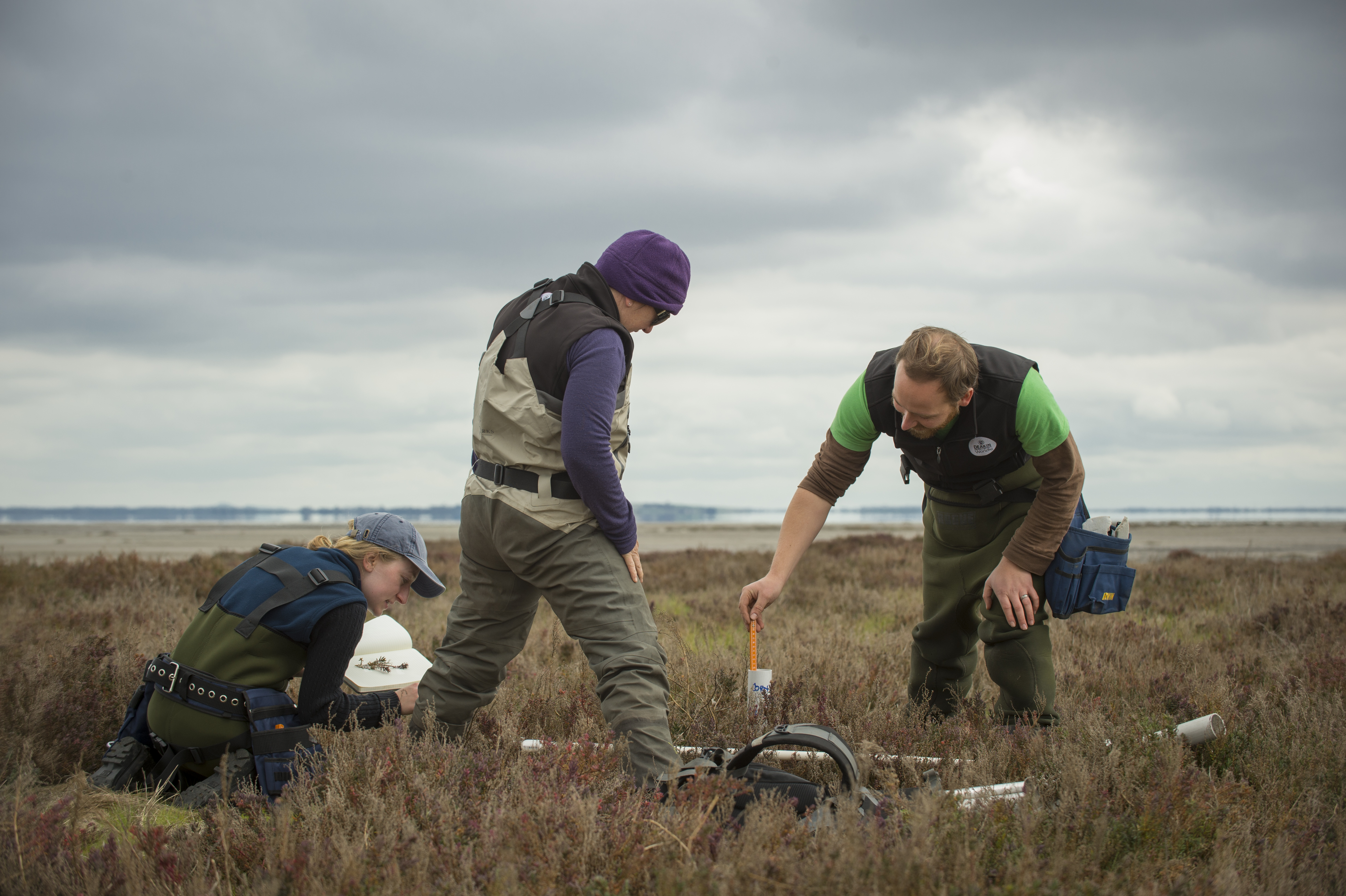 Notes from the Field: MOW Australia Measures Blue Carbon in Australia