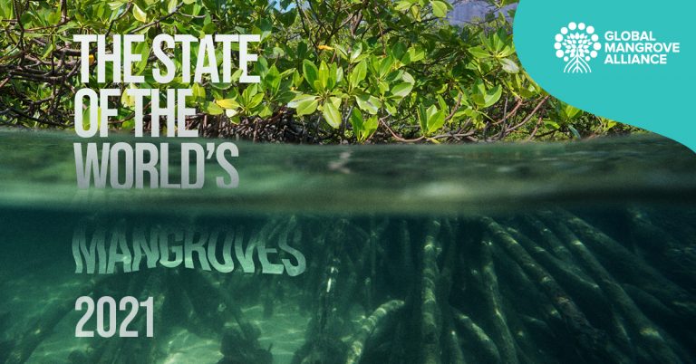 New report shows slowdown in mangrove losses–providing a ‘last best chance’ for global action to protect coastal forests