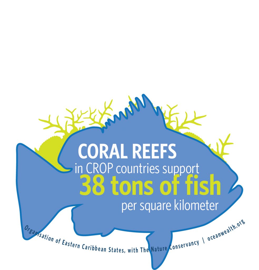 Coral Reef Fisheries