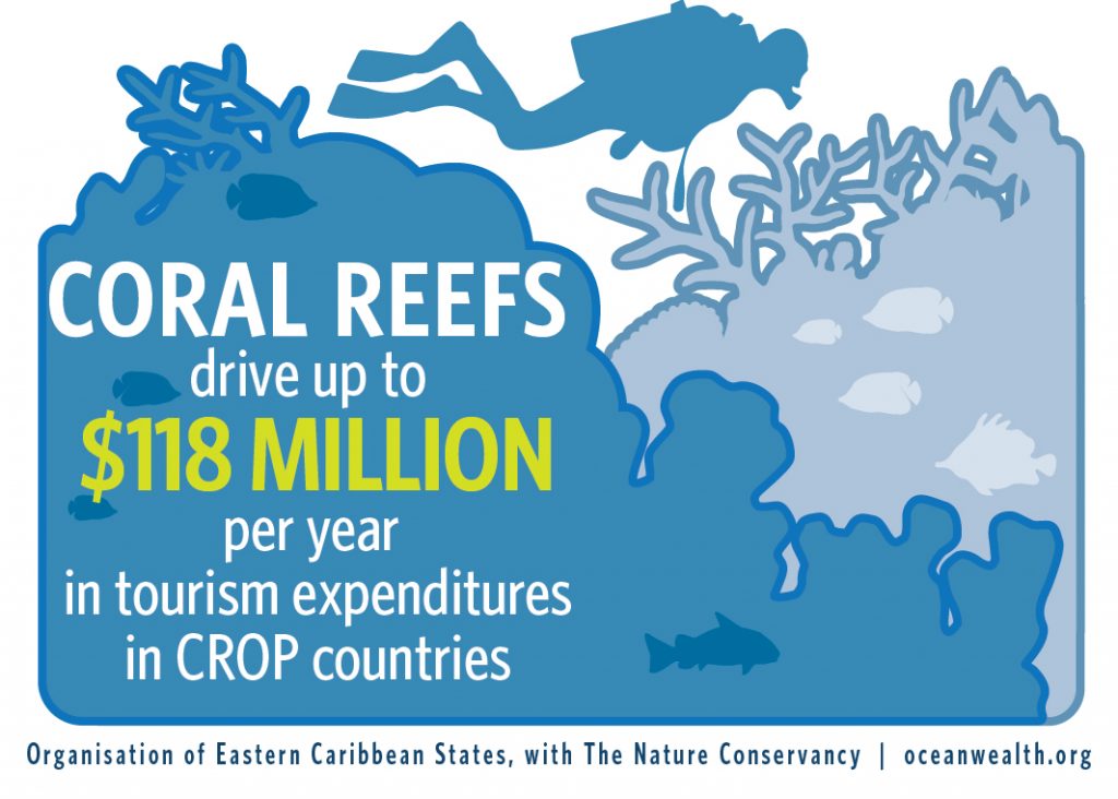 On Reef Tourism