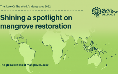 The State of the World’s Mangroves 2022