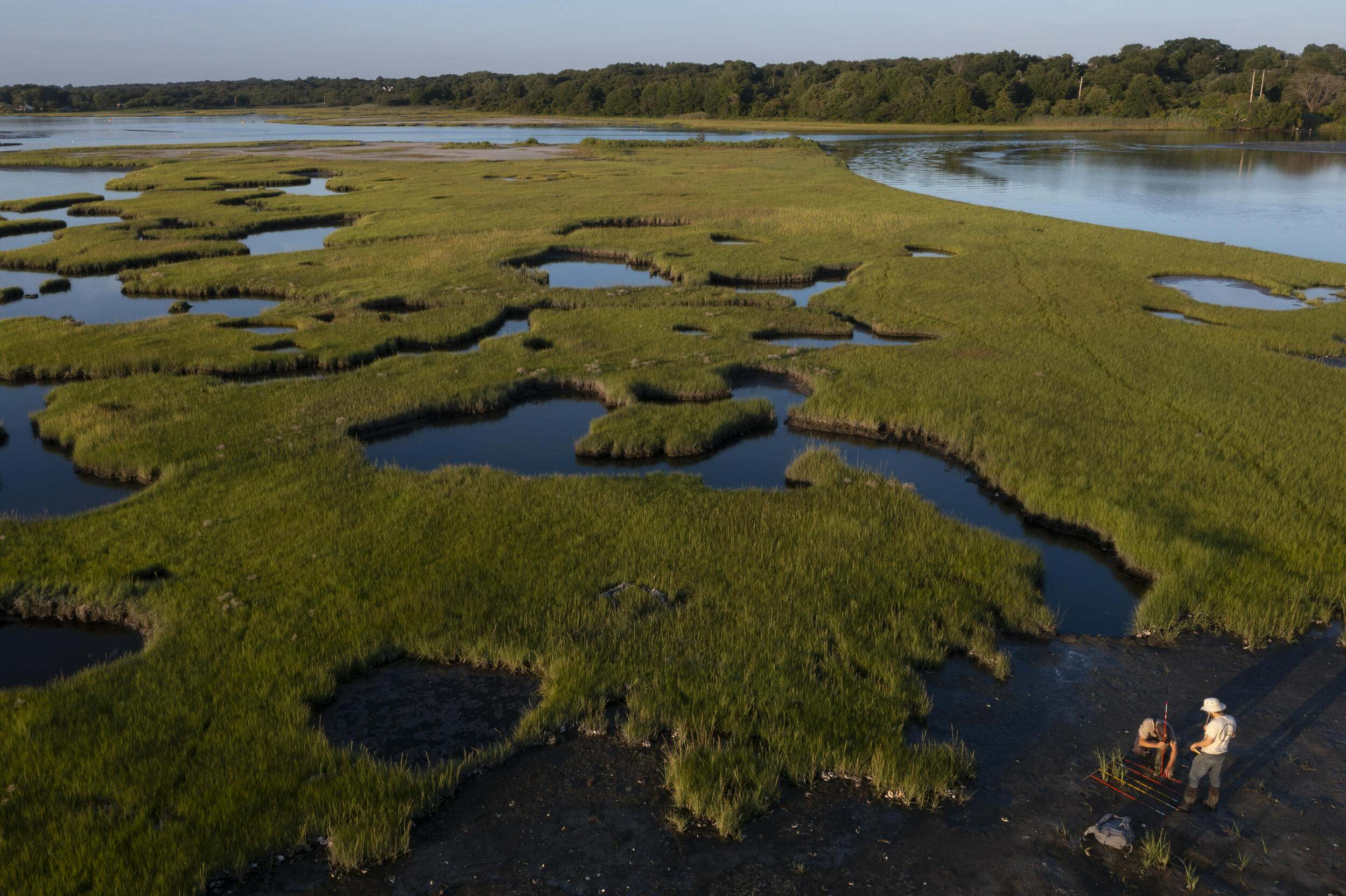 New research reveals the carbon-storing potential of tidal marshes