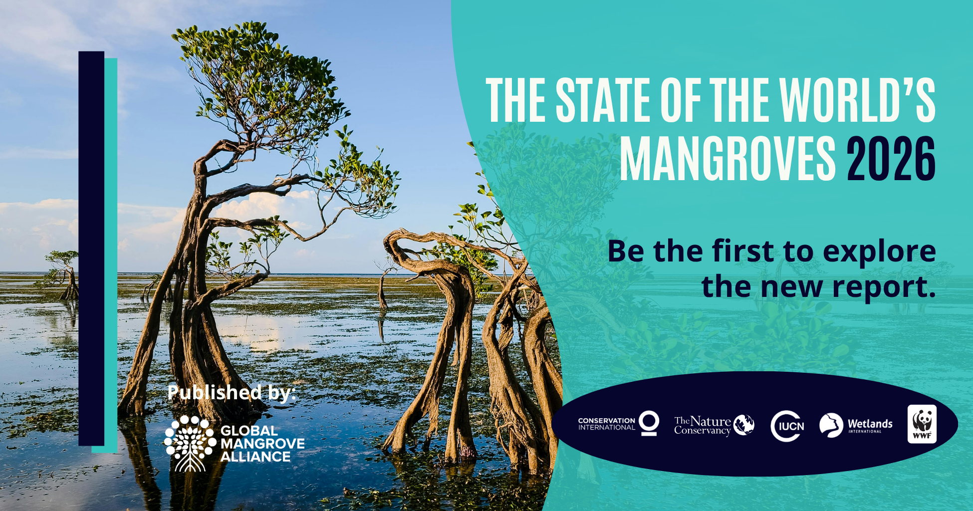 The State of the World’s Mangroves 2026
